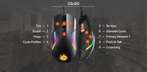 best gaming mouse for cs go|best gaming mouse csgo.